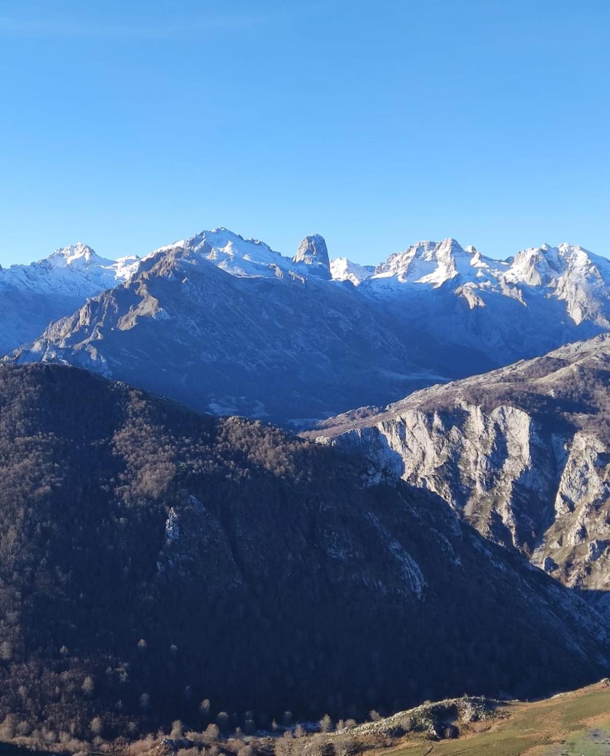 La Casina De Tielve De Cabrales Dentro Del Parque Nacional Picos De Europa Villa Eksteriør bilde